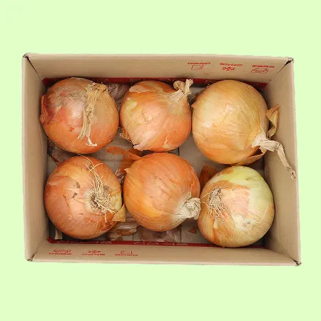 하루 양파 국내산 1번 2kg (EA)