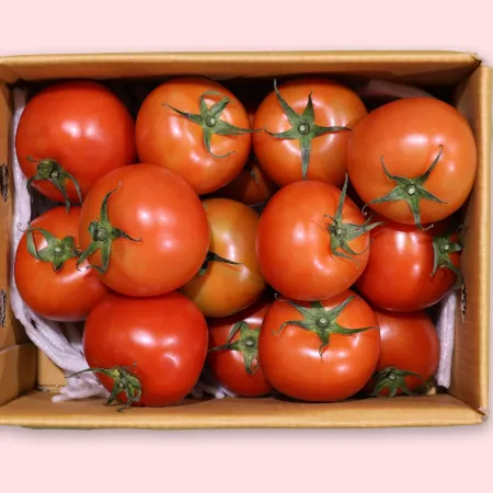 토마토 유럽종 완숙 쥬스용(크기/개수/숙성랜덤) 3kg