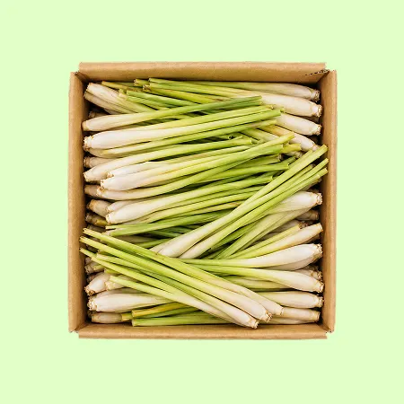⭐️레몬그라스 생 수입산(1kg/EA)⭐️