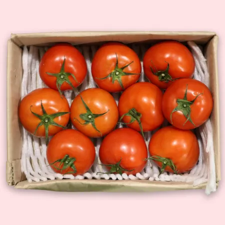 토마토 유럽종 완숙 대과(8-12과) 2kg