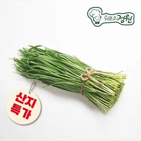 ★산지특가★ 부추 (단) 500g  [쉐프의정원]
