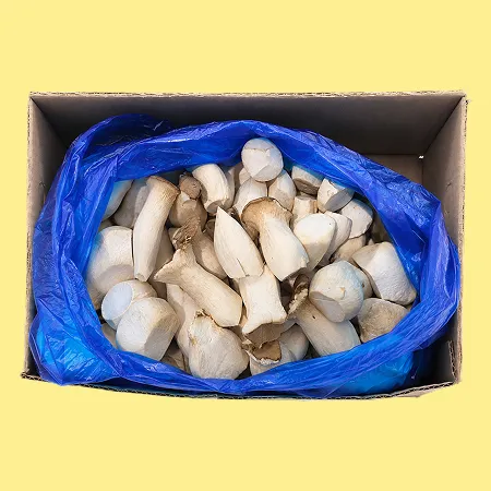 버섯 새송이버섯 (중품, 실속 2kg)