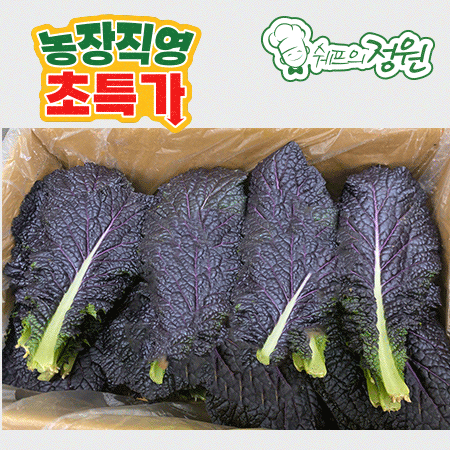 ❤️적겨자잎 (상 2kg/BOX)❤️