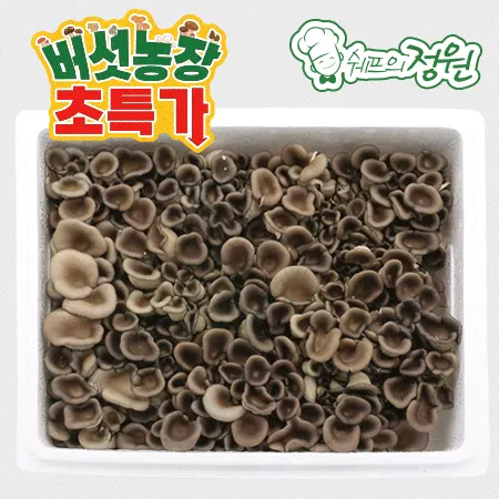 ❤️느타리버섯 스치로폼 (상 2kg/BOX)❤️