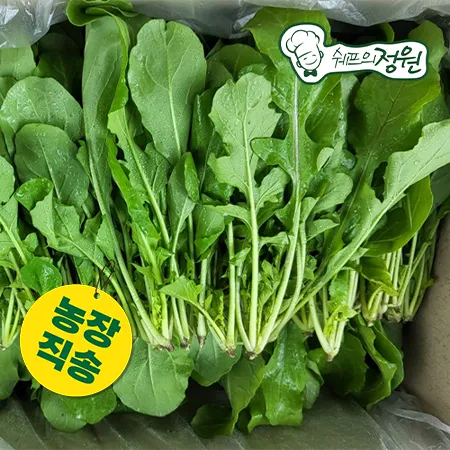 ★농장특가★ 루꼴라 로케트 1kg/봉  [쉐프의정원 농장직영 채소]