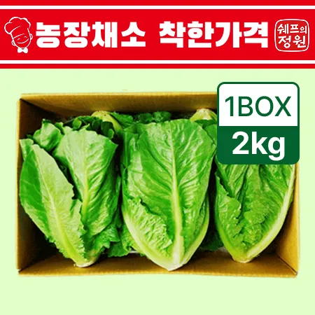 ❤️통로메인 샐러드채소 (2kg/BOX)❤️