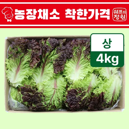 ❤️적상추 (상 4kg/BOX)❤️