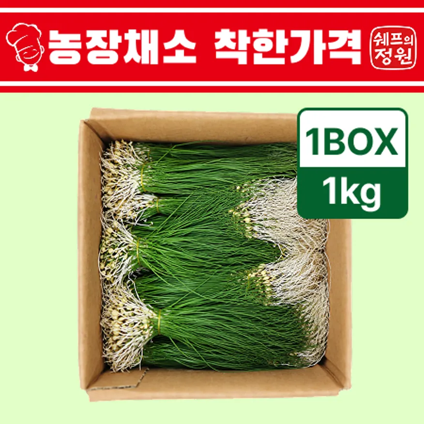 ⭐️달래 (1kg/EA)⭐️ 이미지