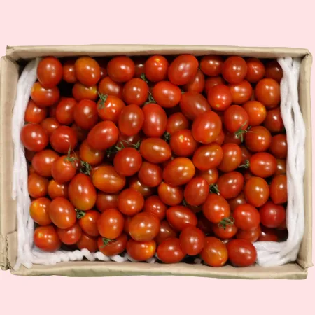 토마토 대추방울 대과 2kg