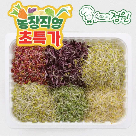 ⭐️모듬새싹 5종 내외 (500g/EA)⭐️