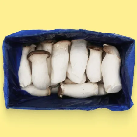 버섯  새송이버섯(실속,중품) 2kg