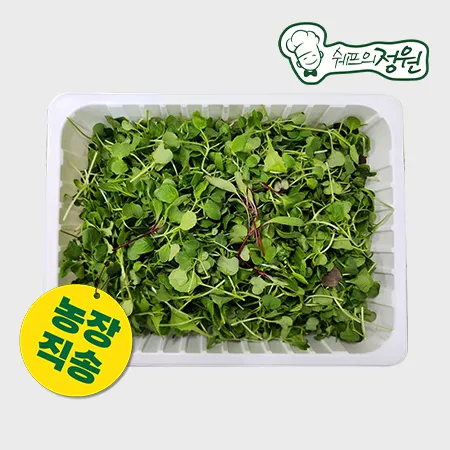 ★농장특가★혼합베이비채소(어린잎) (500g/EA)  [농장직영 채소]