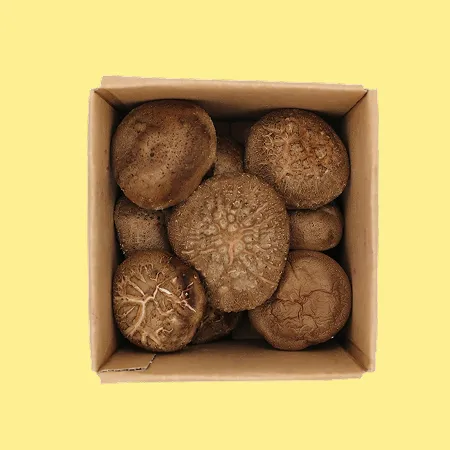 ⭐️표고버섯(상) 1kg⭐️