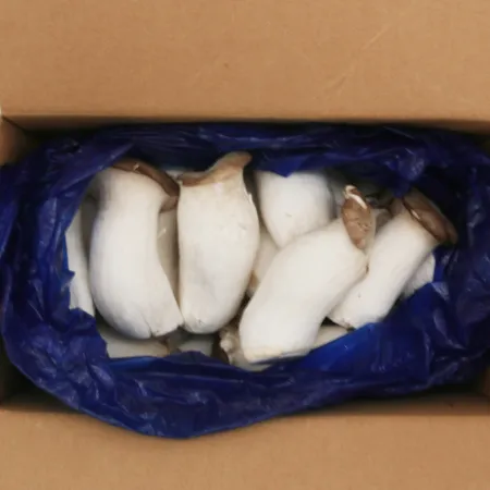❤️새송이버섯(실속) 2kg❤️