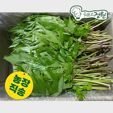 ❤️당귀잎 (쌈채용1kg/BOX)❤️