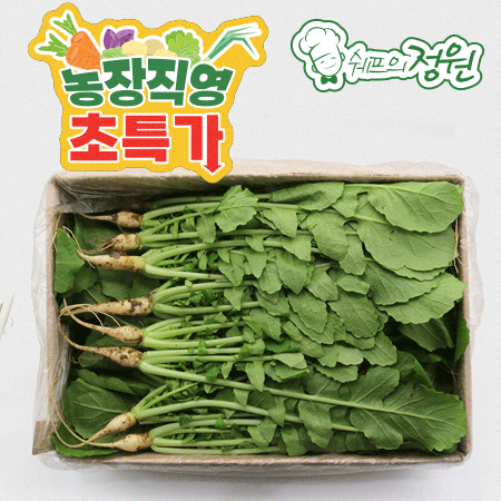 ❤️열무 (상 4kg/BOX)❤️