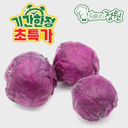⭐️적채 국산 적양배추 3통 (정품 크기)⭐️