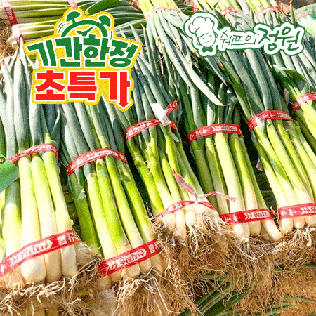 ❤️흙대파 국내산 10단 1망❤️