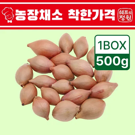 ⭐️샬롯 샬럿 수입산 (500g/EA️)⭐️