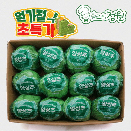 ❤️양상추 수입산 (12입/BOX)❤️