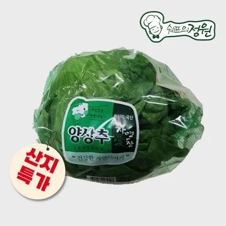 ★산지특가★ 국산양상추 개별포장 1통