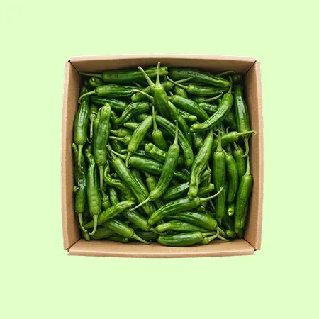 ⭐️청양고추 상 (1kg/EA️)⭐️