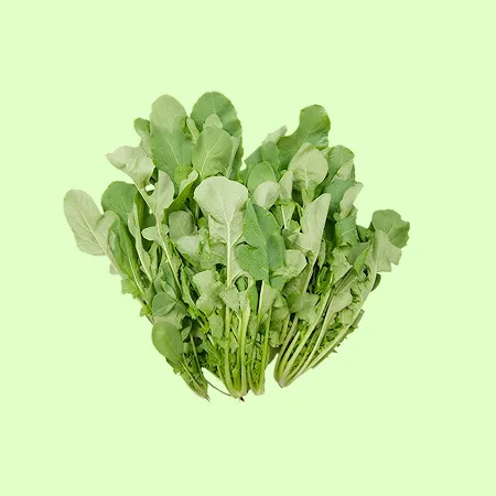 ⭐️루꼴라 로케트 아루굴라(500g/EA)⭐️