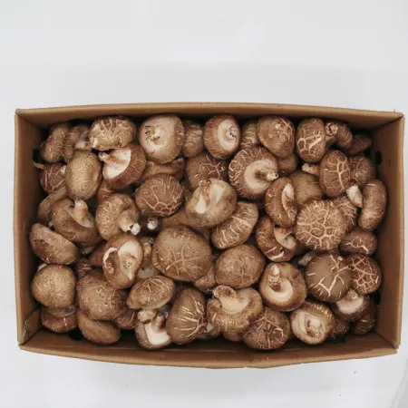 ❤️표고버섯(특, 수입산) 4kg❤️