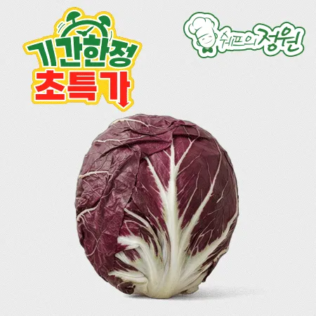 ⭐️라디치오 (350g 내외/통) 국내산⭐️