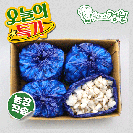 ⭐️총알새송이(콩알)버섯 (실속2kg/EA)⭐️