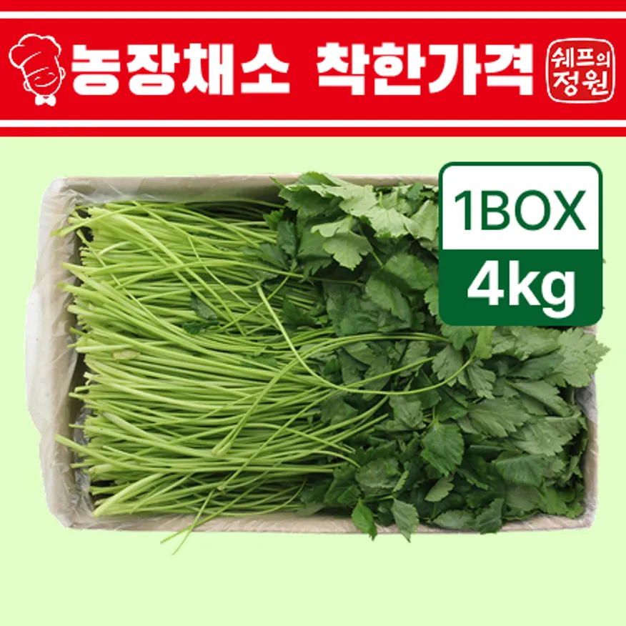 ❤️참나물 (상 4kg/BOX)❤️ 이미지