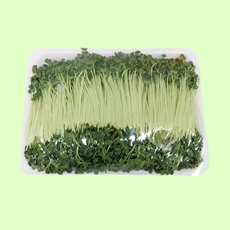 ⭐️무순 국내재배 (50g/1팩) ⭐️