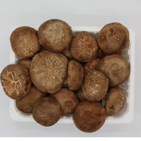 ⭐️표고버섯(상) 1kg⭐️