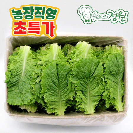 ❤️로메인상추 (상 2kg/BOX)❤️