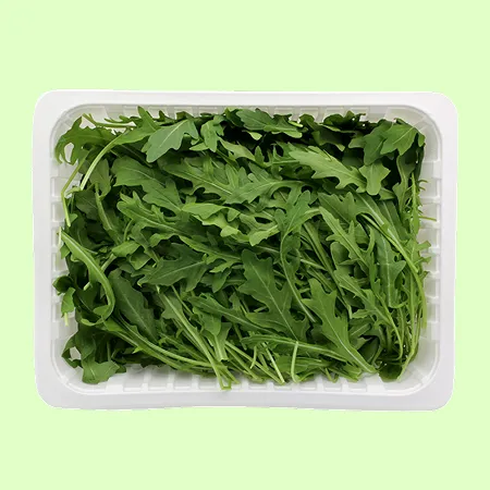 ⭐️루꼴라 와일드 (500g/EA)⭐️