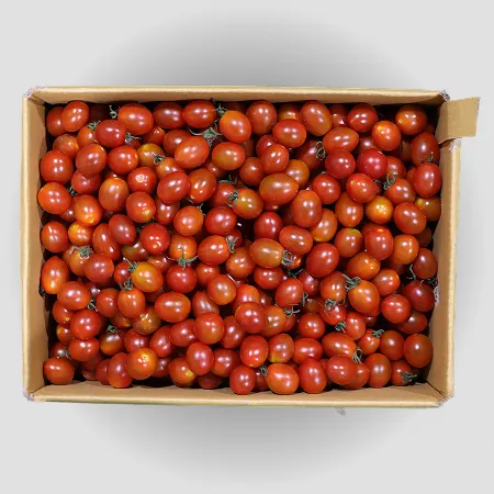 ❤️대추방울토마토 대과 5kg❤️