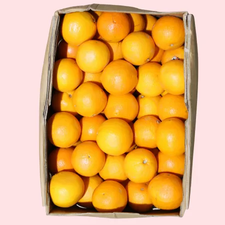 ❤️오렌지 88과 17kg (개당 200g) 콤보급❤️