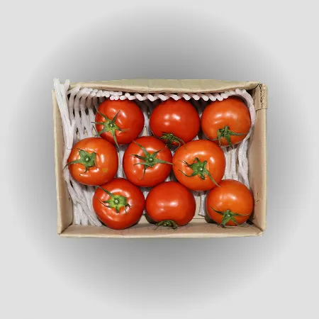 ❤️유럽종 완숙토마토 대과(7~9과) 2kg❤️