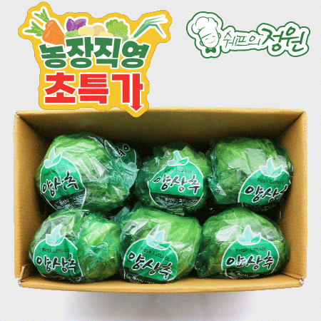 ❤️양상추 개별포장 국산 (12EA/BOX)❤️
