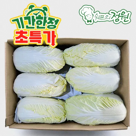 ❤️알배기배추 국내산 상 12-16입 ❤️