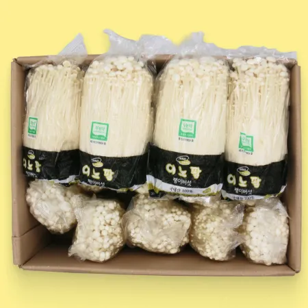 버섯  팽이버섯 대용량 360g x 14팩 1박스
