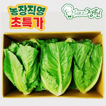 ❤️통로메인 샐러드채소 (2kg/BOX)❤️