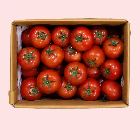 ❤️유럽종 완숙토마토 소과(18-22과) 3kg❤️