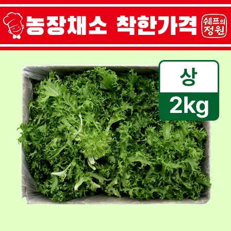 ❤️치커리 (상 2kg/BOX)❤️
