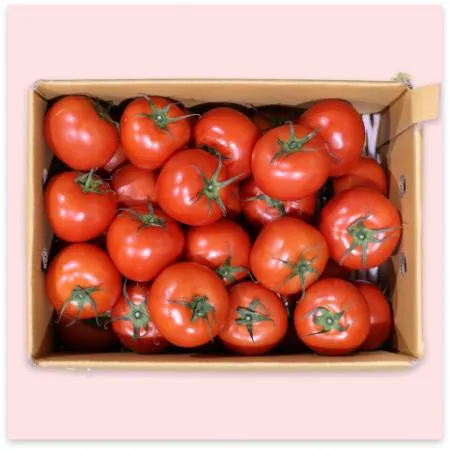 토마토 유럽종 완숙 대과(17-26과) 5kg