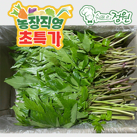 ❤️당귀 (쌈용1kg/BOX)❤️