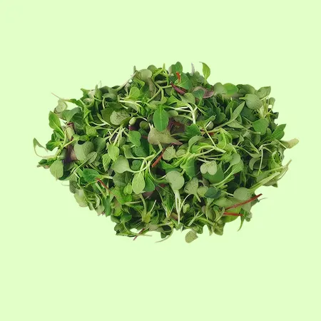 ⭐️베이비채소(어린잎 어린순 혼합) (250g/EA️) ⭐️