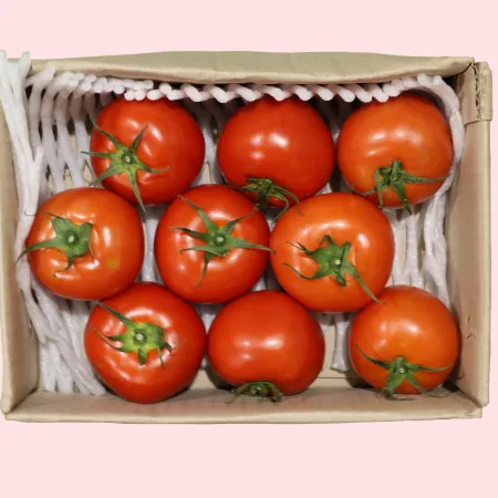토마토 유럽종 완숙  중과(10-14과) 2kg
