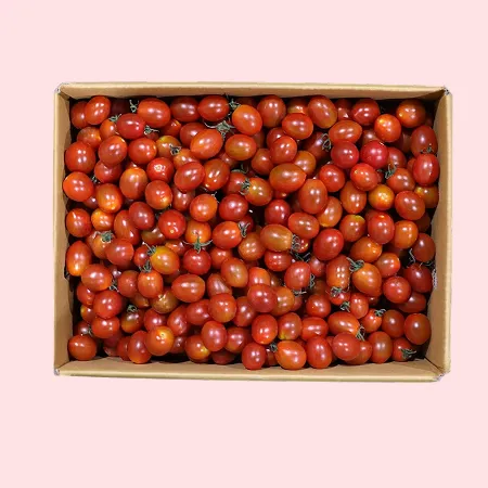 ❤️대추방울토마토 대과 5kg❤️
