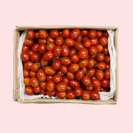 ❤️대추방울토마토 대과 2kg❤️